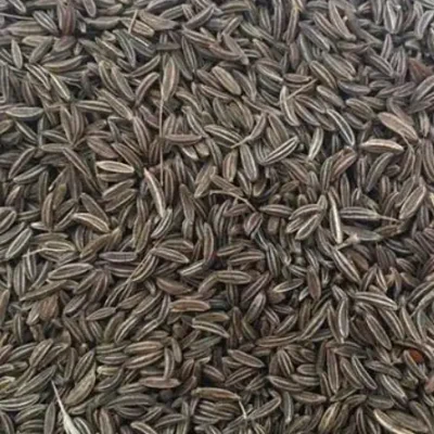 Shajeera