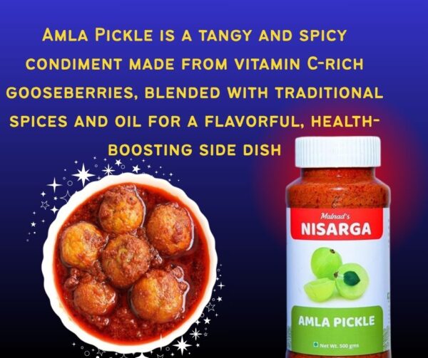 AMLA PICKLE