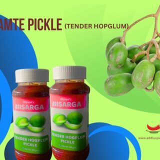 AMTE PICKLE
