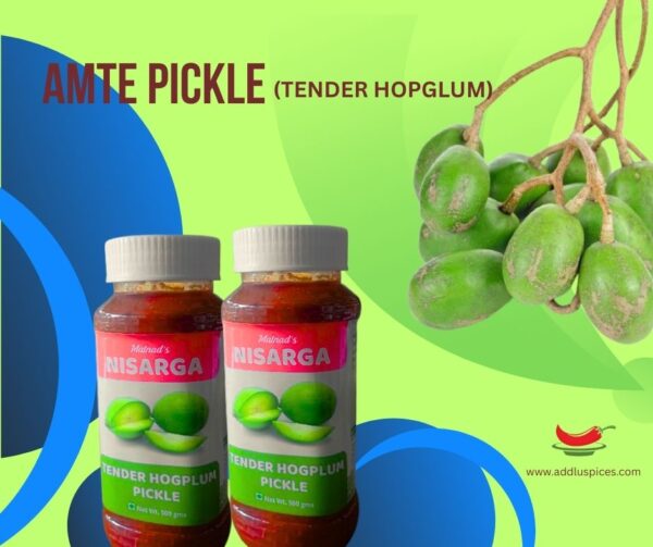 AMTE PICKLE