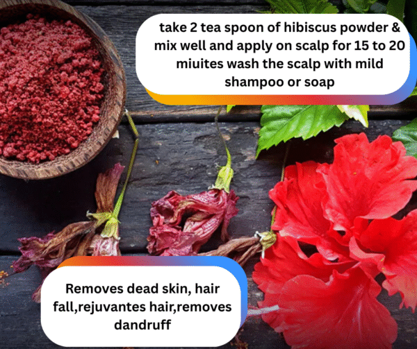 HIBISCUS POWDER