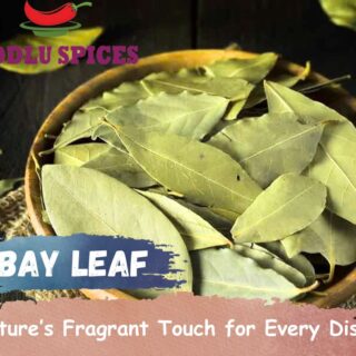 Bay Leaf