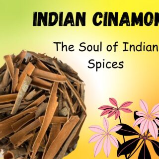 CINAMOM