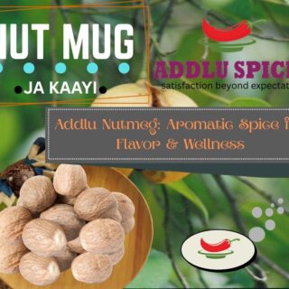 NUT MUG