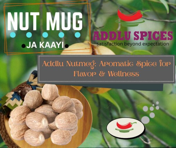 NUT MUG