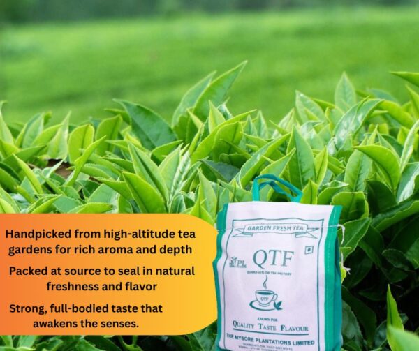 QTF TEA - Image 3