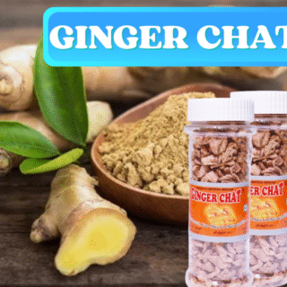 GINGER CHAT